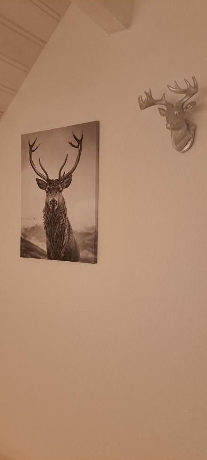 B&B Talstation Horselberg-Hainich Kültér fotó