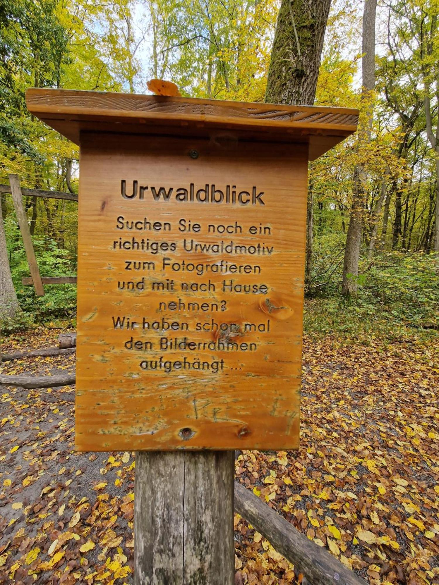B&B Talstation Horselberg-Hainich Kültér fotó